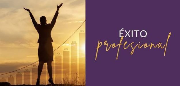 Principios para el éxito profesional