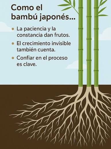 La historia del bambú y la importancia de fortalecer tus raíces