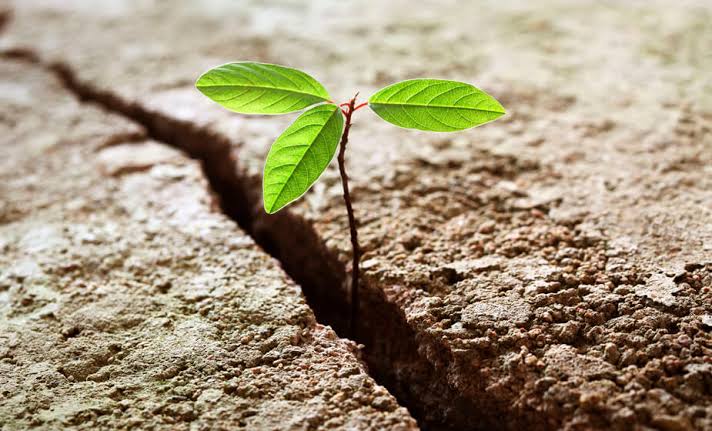 Aprovechando las adversidades para crecer