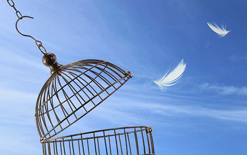 Viviendo tu día ideal todos los días gracias a un estilo de vida libre